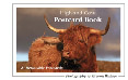Highland Cow Postcard Book
